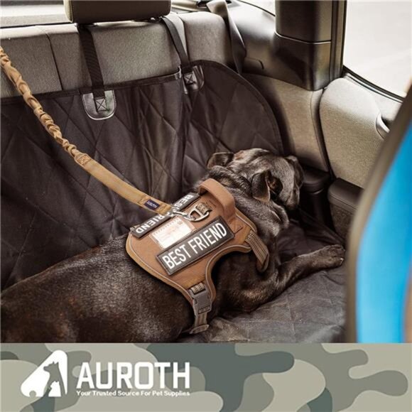 Dog Leash for Shock Absorption - Heavy Duty No Pull Training Leash for Medium - Picture 5 of 7